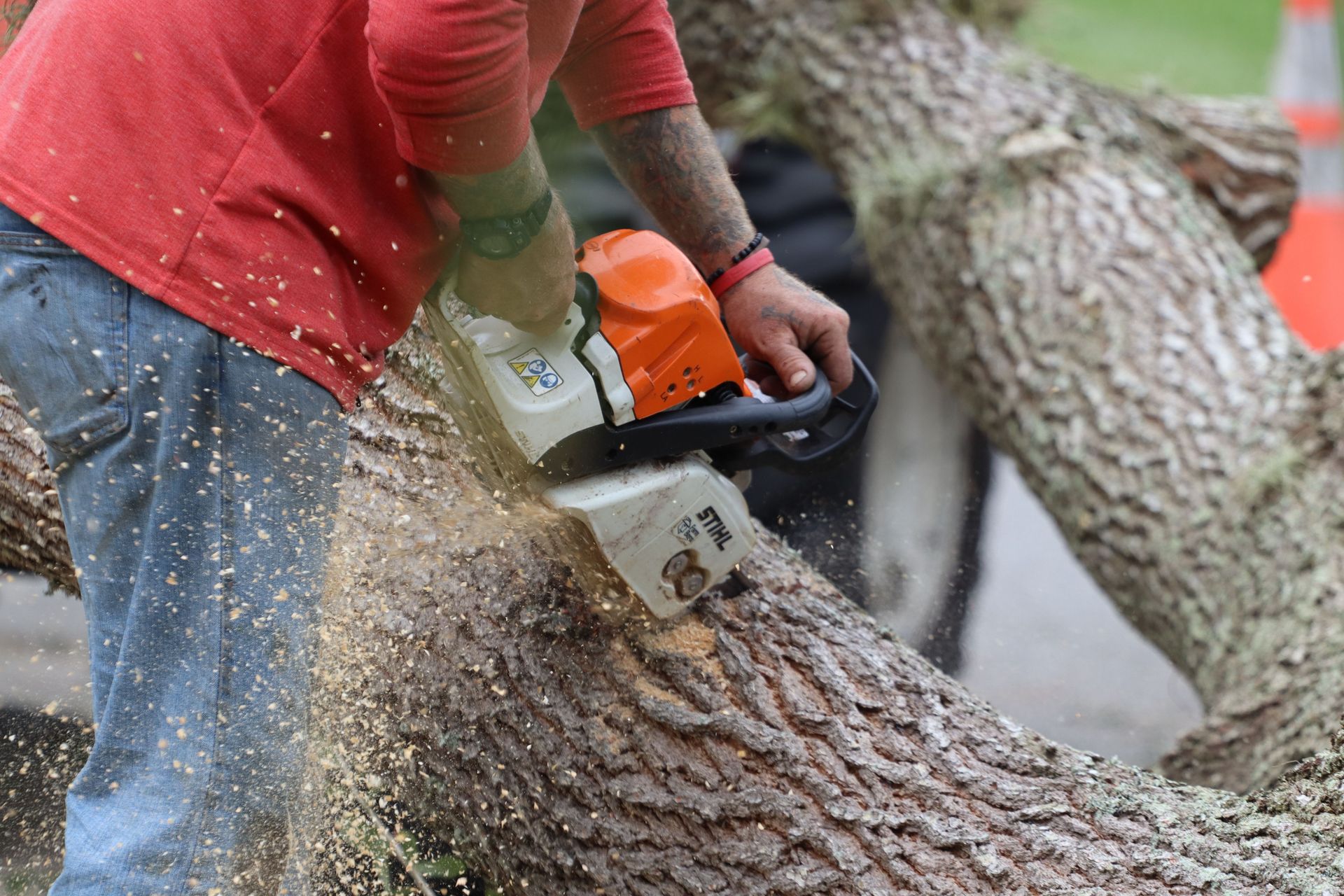 Close-up of a man using a chainsaw to cut a large tree log outdoors.
