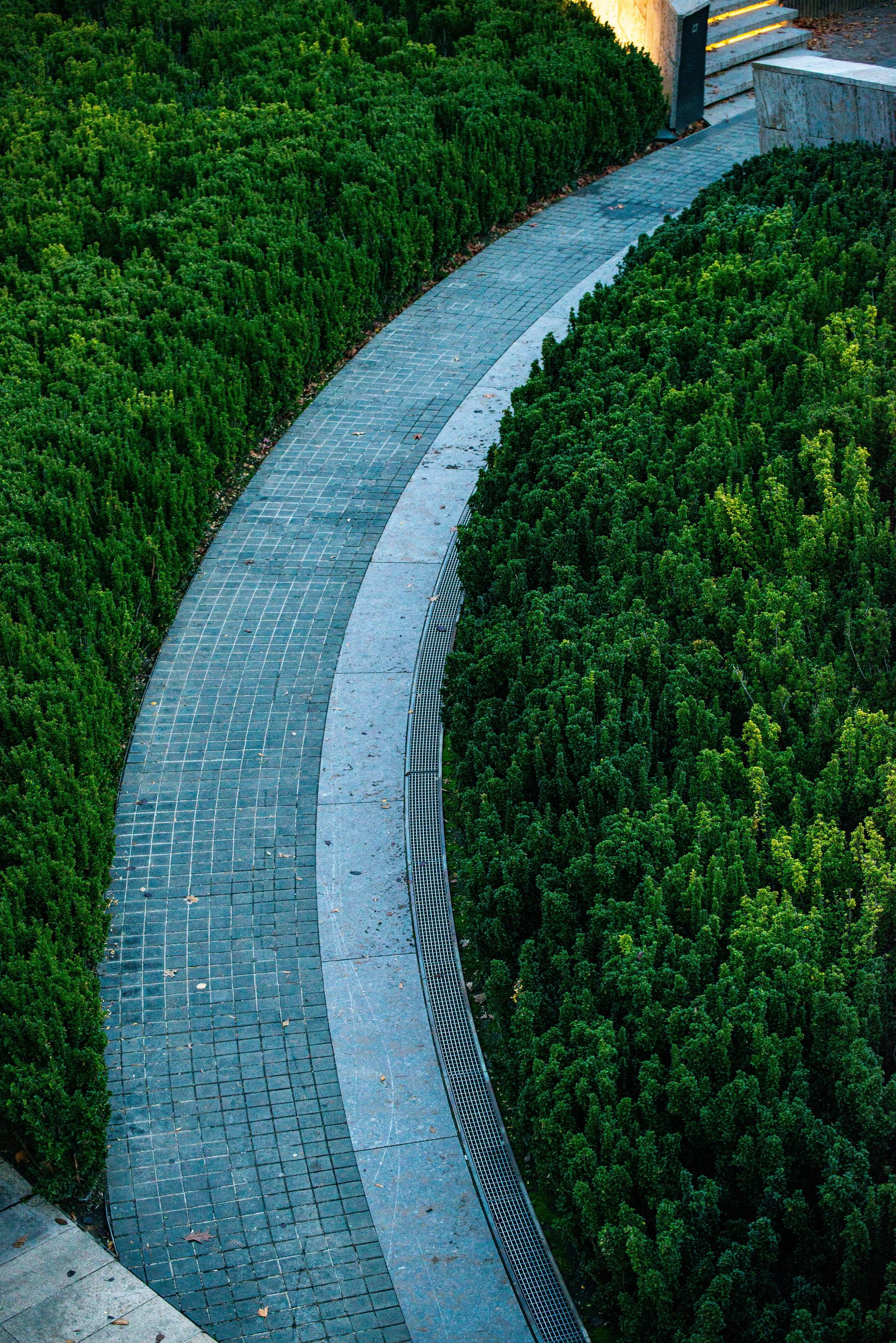 A serene and elegant curved pathway surrounded by lush greenery in an urban park.
