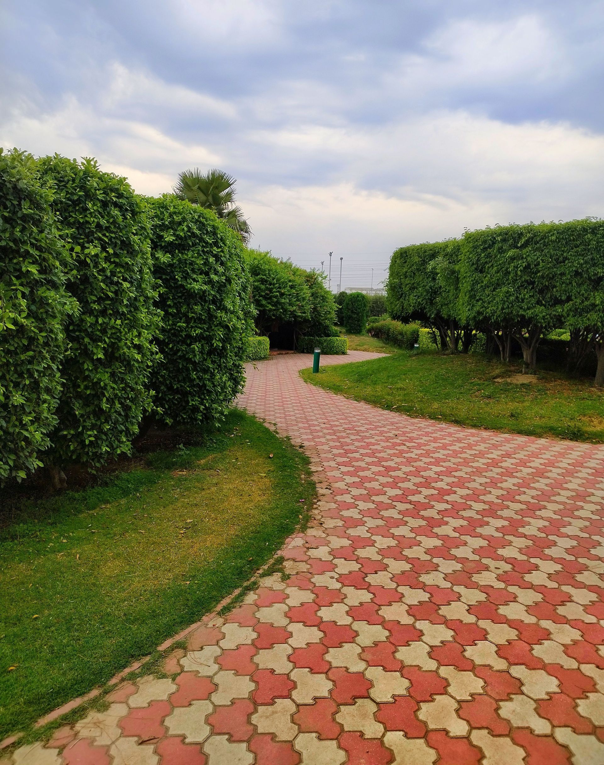 A peaceful outdoor walkway lined with lush green hedges under a cloudy sky in Delhi, India.