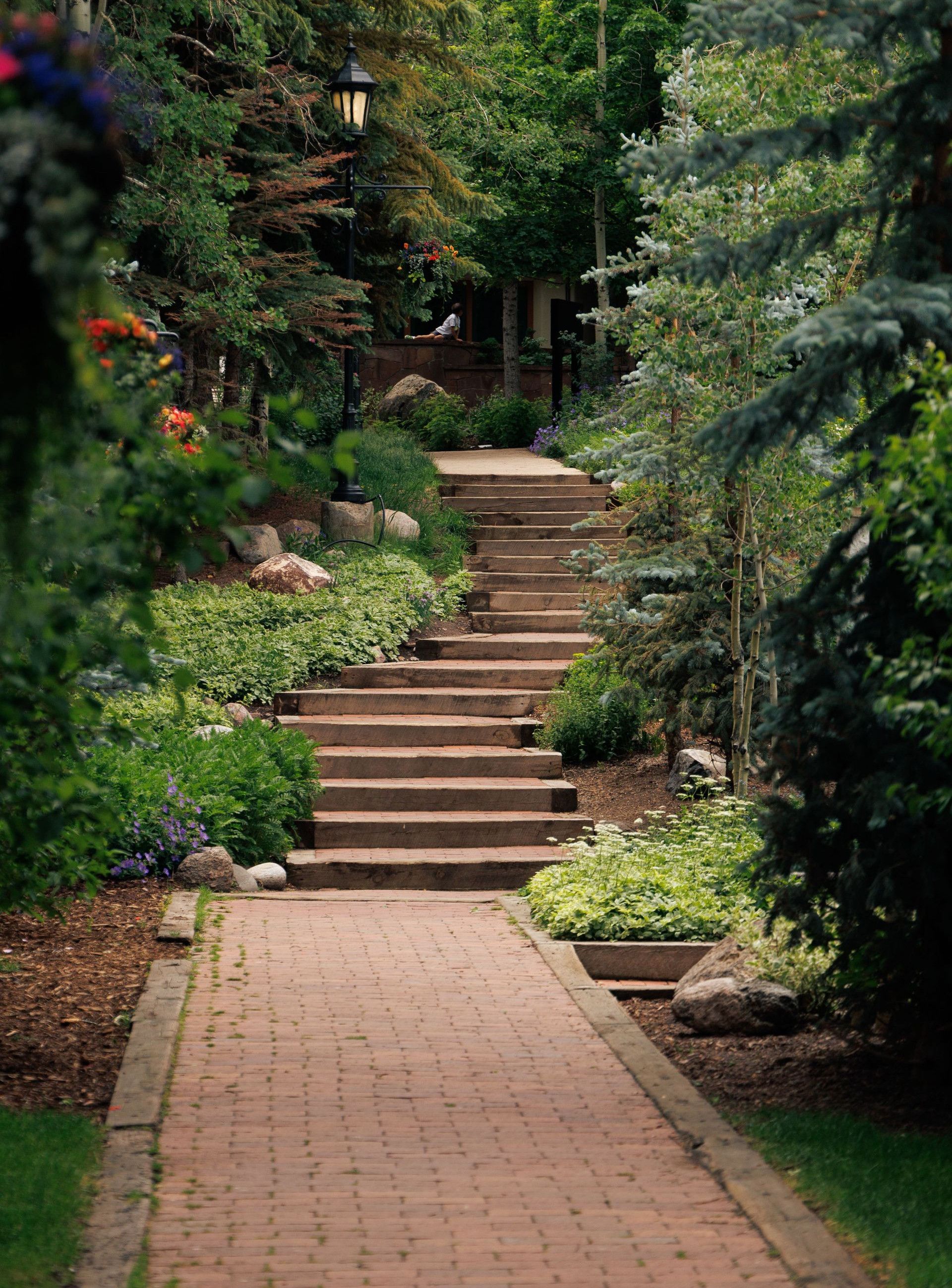 Serene brick pathway leading through a lush, green garden with vibrant flowers.