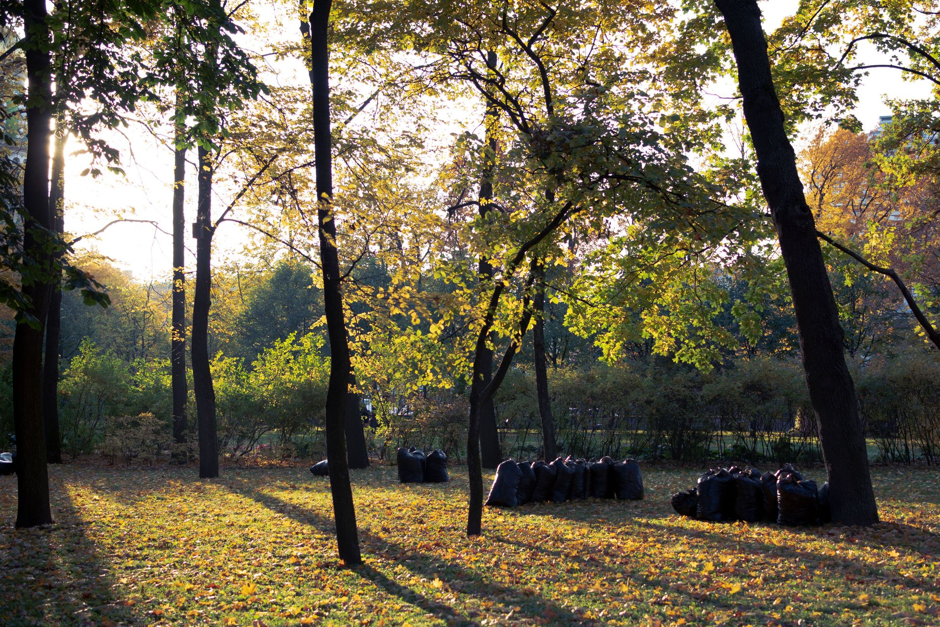 A peaceful park with autumn leaves and garbage bags collected, conveying an environmental theme.