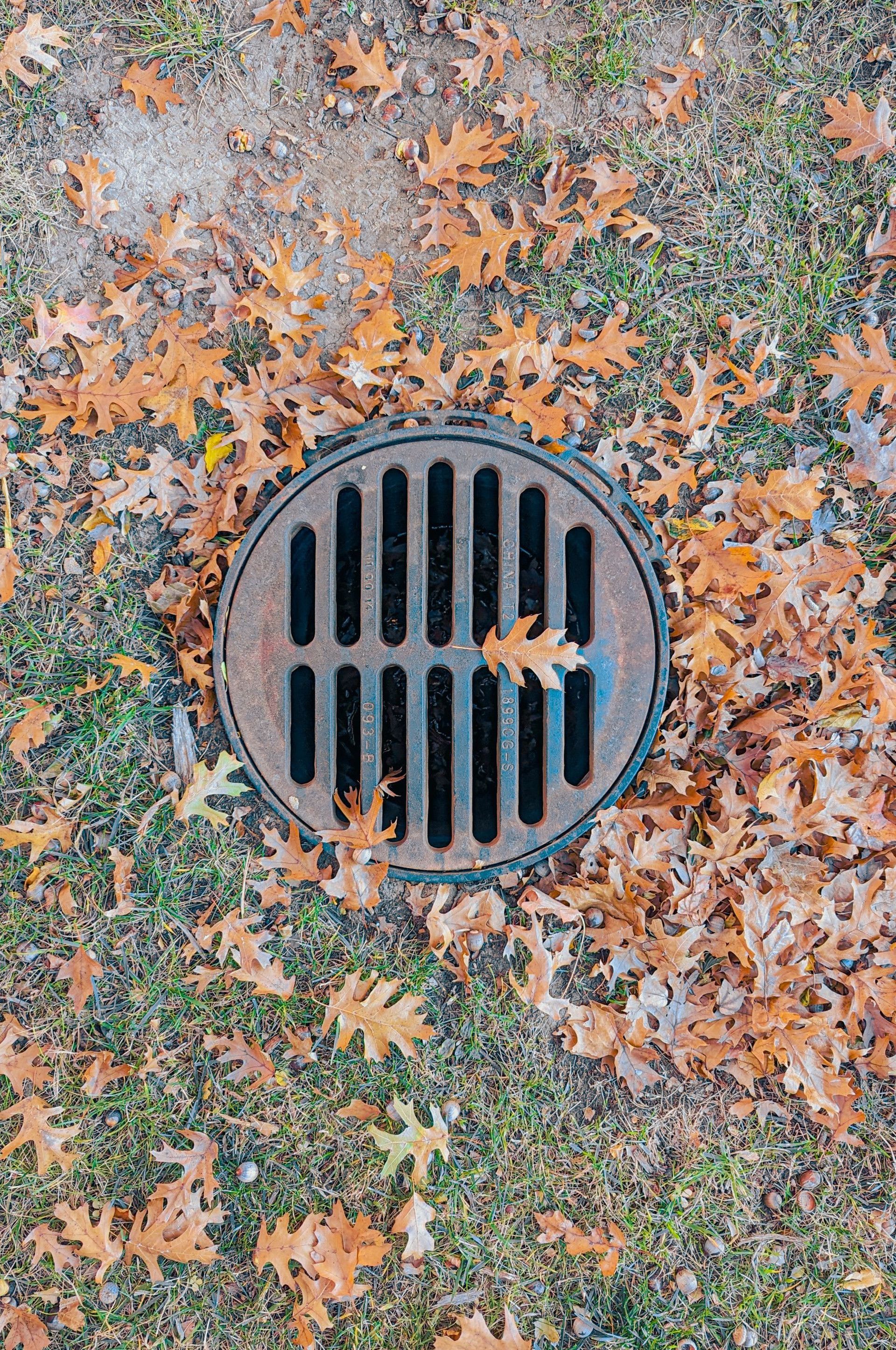 Top-down view of a round metal drain with autumn leaves scattered across grass.